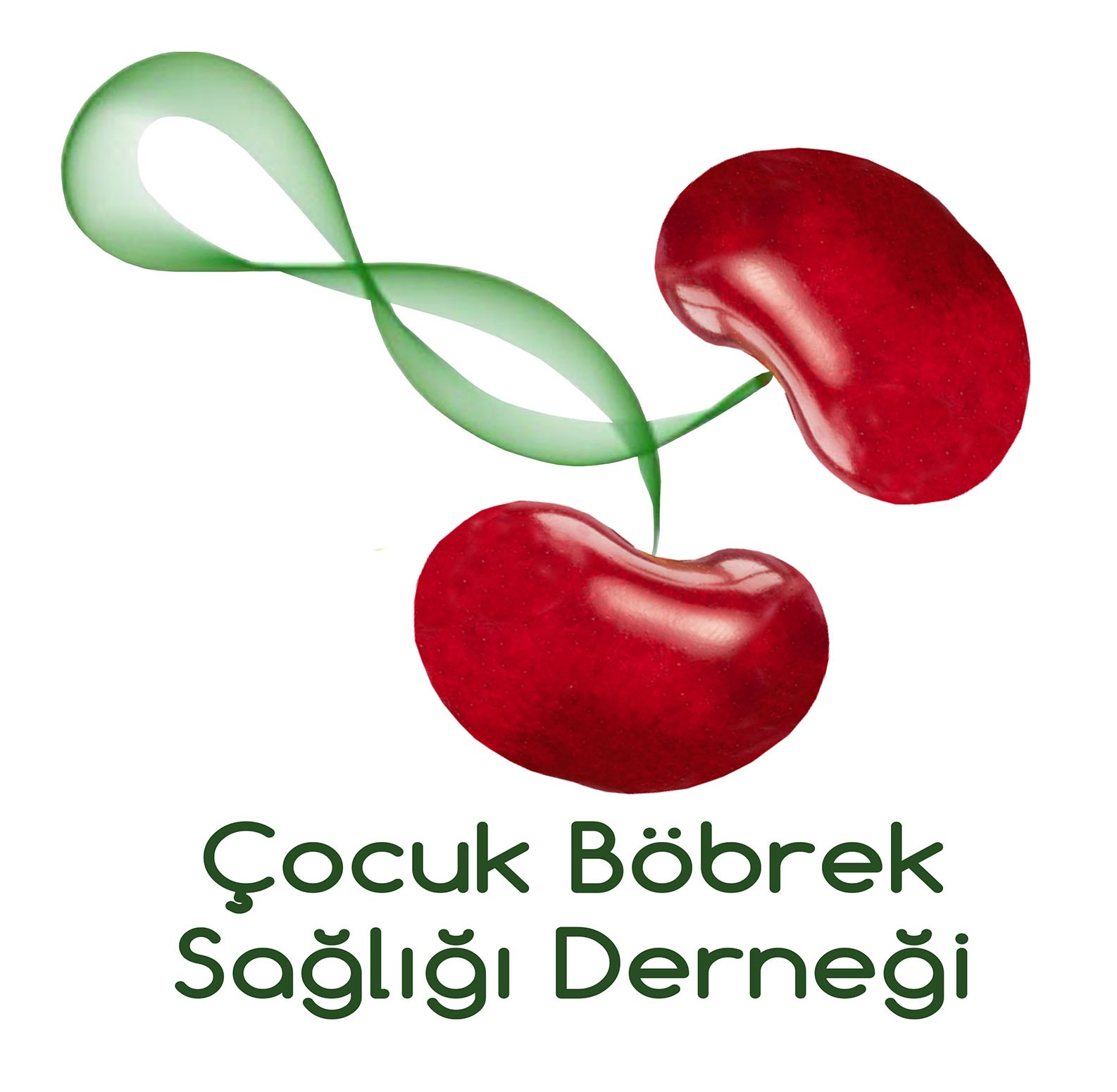 Çocuk Böbrek Vakfı Web Çalışması